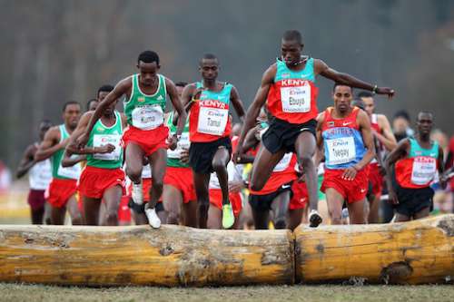 World Cross Country Championships Kampala 2017 Watch Athletics